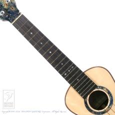 Leaf Instruments Teriha Concer【サウンドメッセin大阪 2026出展作品】_5