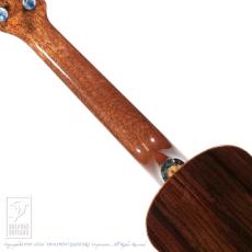 Leaf Instruments Teriha Concer【サウンドメッセin大阪 2026出展作品】_6