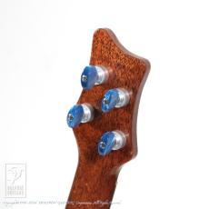 Leaf Instruments Teriha Concer【サウンドメッセin大阪 2026出展作品】_8
