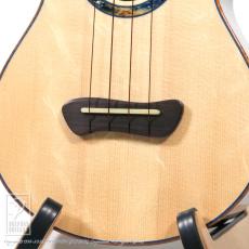 Leaf Instruments Teriha Concer【サウンドメッセin大阪 2026出展作品】_10