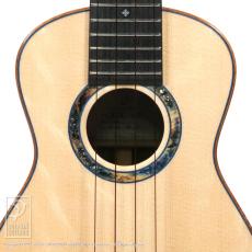 Leaf Instruments Teriha Concer【サウンドメッセin大阪 2026出展作品】_11
