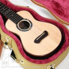 Leaf Instruments Teriha Concer【サウンドメッセin大阪 2026出展作品】_13