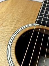 Taylor 【Taylor Guitars Tone Show 2026】Gold Label 710e【送料当社負担・最大48回無金利】_4