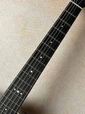 Taylor 【Taylor Guitars Tone Show 2026】Gold Label 710e【送料当社負担・最大48回無金利】_5