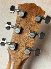 Taylor 【Taylor Guitars Tone Show 2026】Gold Label 710e【送料当社負担・最大48回無金利】_7
