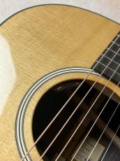 Taylor 【Taylor Guitars Tone Show 2026】Gold Label 717e【送料当社負担・最大48回無金利】_4