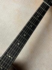 Taylor 【Taylor Guitars Tone Show 2026】Gold Label 717e【送料当社負担・最大48回無金利】_5