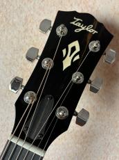 Taylor 【Taylor Guitars Tone Show 2026】Gold Label 717e【送料当社負担・最大48回無金利】_6