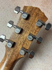 Taylor 【Taylor Guitars Tone Show 2026】Gold Label 717e【送料当社負担・最大48回無金利】_7