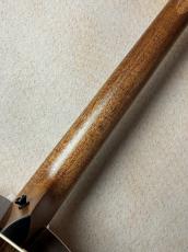 Taylor 【Taylor Guitars Tone Show 2026】Gold Label 717e【送料当社負担・最大48回無金利】_8