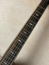 Taylor 【Taylor Guitars Tone Show 2026】812ce Next Generation【送料当社負担・最大48回無金利】_5