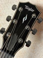 Taylor 【Taylor Guitars Tone Show 2026】812ce Next Generation【送料当社負担・最大48回無金利】_6