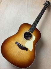 Taylor 【Taylor Guitars Tone Show 2026】Gold Label 517e SB【送料当社負担・最大48回無金利】