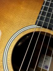 Taylor 【Taylor Guitars Tone Show 2026】Gold Label 517e SB【送料当社負担・最大48回無金利】_4