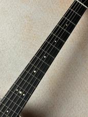 Taylor 【Taylor Guitars Tone Show 2026】Gold Label 517e SB【送料当社負担・最大48回無金利】_5