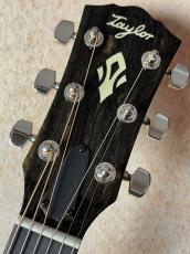 Taylor 【Taylor Guitars Tone Show 2026】Gold Label 517e SB【送料当社負担・最大48回無金利】_6