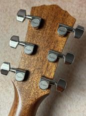 Taylor 【Taylor Guitars Tone Show 2026】Gold Label 517e SB【送料当社負担・最大48回無金利】_7