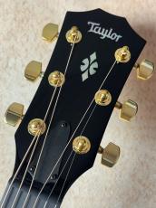 Taylor 【Taylor Guitars Tone Show 2026】714ce Next Generation【送料当社負担・最大48回無金利】_6
