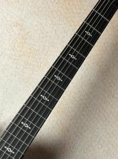 Taylor 【Taylor Guitars Tone Show 2026】324ce Next Generation【送料当社負担・最大48回無金利】_4