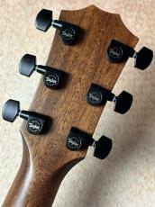 Taylor 【Taylor Guitars Tone Show 2026】324ce Next Generation【送料当社負担・最大48回無金利】_6