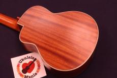 aNueNue aNN-UC110 "Green Bird" Special Mahogany Cutaway Concert Ukulele #5637_2