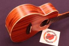aNueNue aNN-UC110 "Green Bird" Special Mahogany Cutaway Concert Ukulele #5637_3