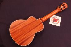 aNueNue aNN-UC110 "Green Bird" Special Mahogany Cutaway Concert Ukulele #5637_6
