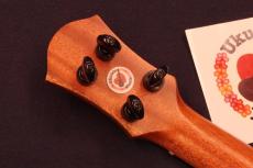 aNueNue aNN-UC110 "Green Bird" Special Mahogany Cutaway Concert Ukulele #5637_7