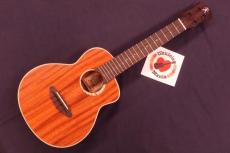 aNueNue aNN-UC110 "Green Bird" Special Mahogany Cutaway Concert Ukulele #5637_8