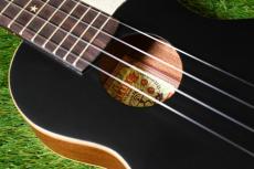aNueNue US10 LTD BB Soprano_10