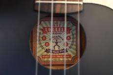 aNueNue US10 LTD BB Soprano_16