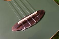 aNueNue US10 LTD BF Soprano_11