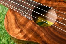 Big Island KT-CTS Concert_10