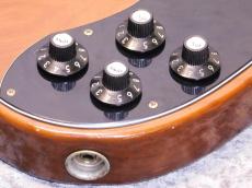 Fender Telecaster Deluxe '74 WN/M_8