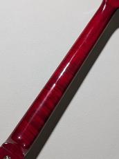 Epiphone SG Standard -Cherry- #26031523911【3.28kg】_9