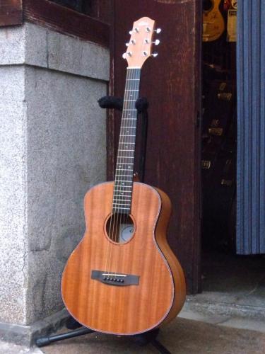 Elvis Master Mini 10