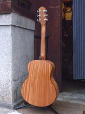 Elvis Master Mini 10_2