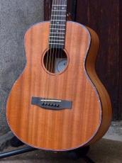 Elvis Master Mini 10_3