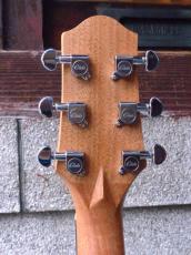 Elvis Master Mini 10_6