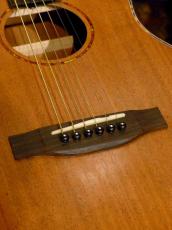 Elvis Master Mini 10_8
