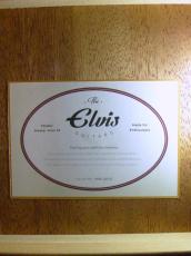 Elvis Master Mini 10_11