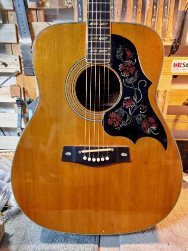 YAMAHA FG-400W(黒ラベル)