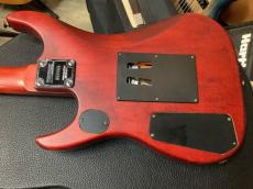 Washburn N series N2-NUNO PADAUK《Nuno Bettencourt Signature》_5