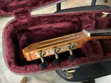 Cordoba コルドバ GK Pro フラメンコエレガット _6