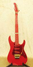 FERNANDES LA Custom KK_3