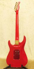 FERNANDES LA Custom KK_7