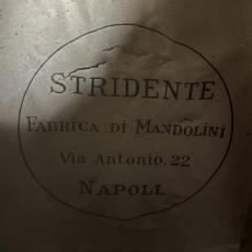 STRIDENTE Stridente　松/ローズウッド【Vintage】_10