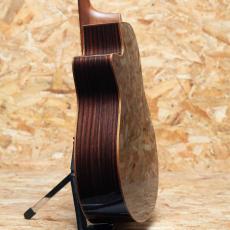 Morris S-101 III SPZ/LTD_5