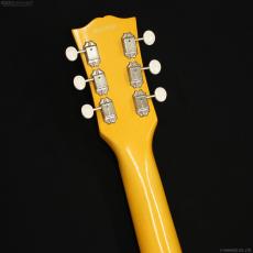 Edwards E-LS-LTD [TV Yellow]_8
