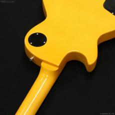 Edwards E-LS-LTD [TV Yellow]_9